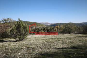 С/х использование, 3 га