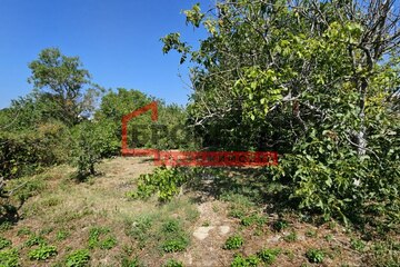 Ведение садоводства, 4,1 сот.