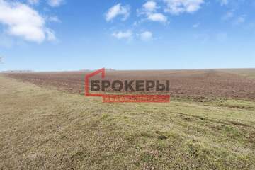 С/х использование, 9,9 га